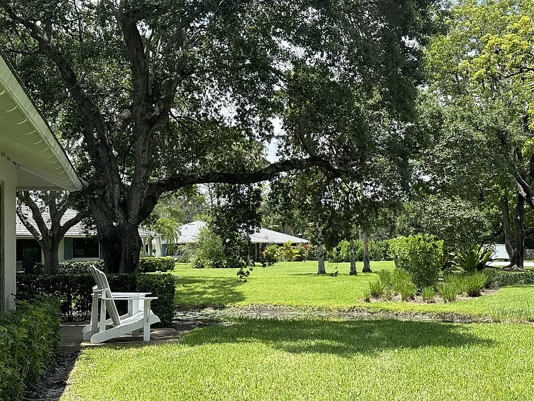 Neighborhood