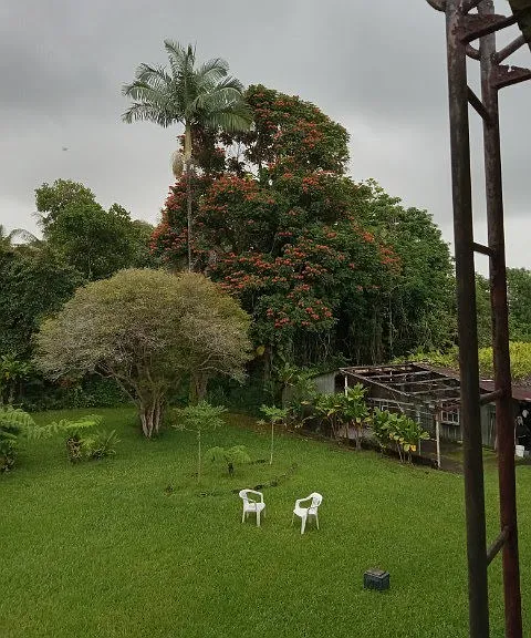 28-239 Kalani Loop Rd #B — Photo 8