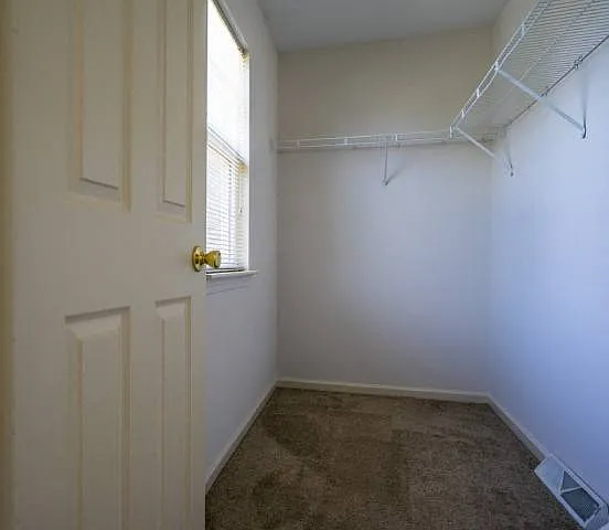 Webster Woods Townhouse Apartments — Photo 38