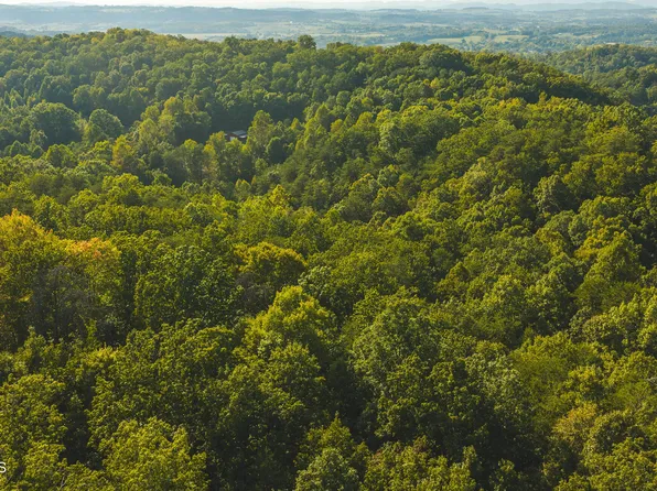 Stone Mountain Rd, Bulls Gap, TN 37711
