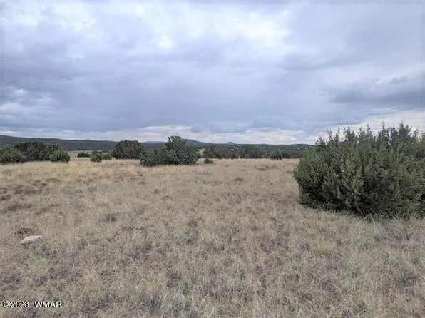 79 Show Low Pnes #7, Concho, AZ 85924