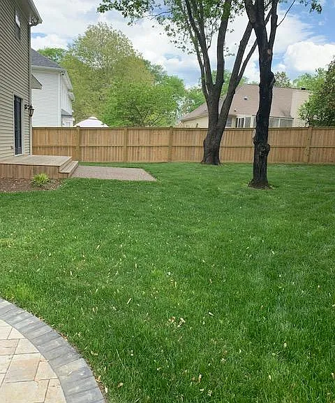 View of the back yard from the fence gate