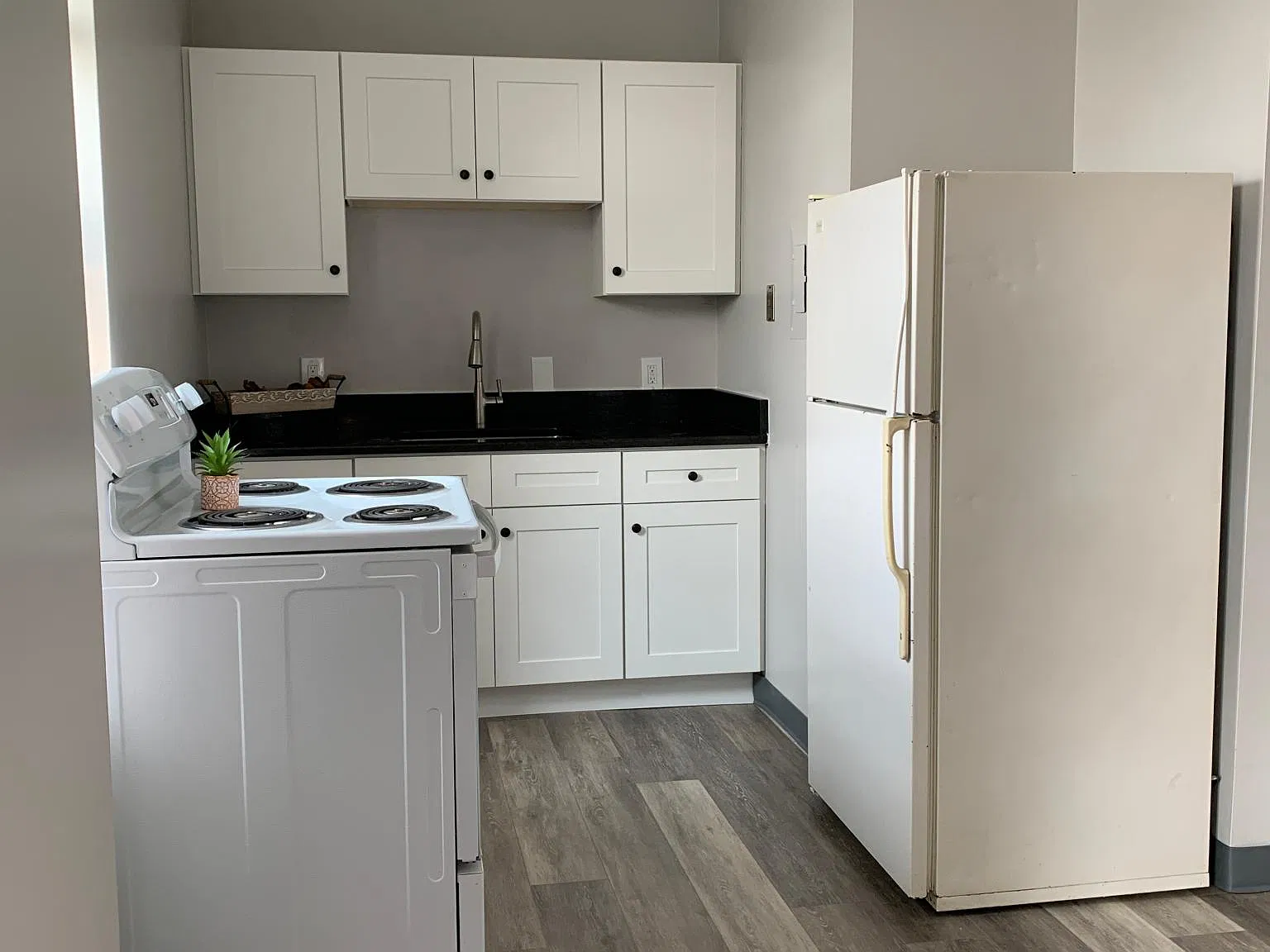 1 bed, $1,550 — Photo 2