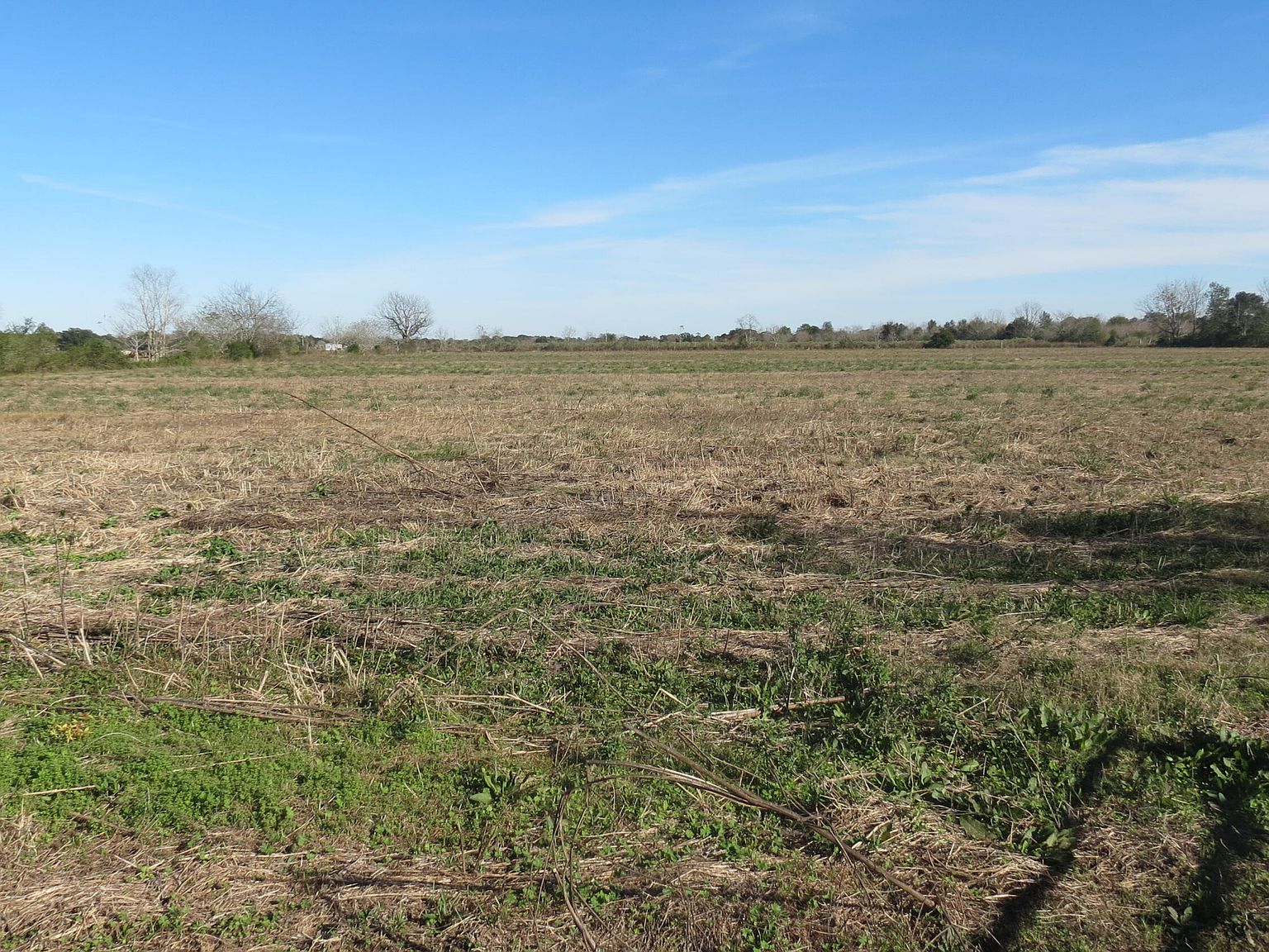 Highway 343, Maurice, LA 70555 Zillow
