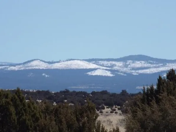 PARCEL 107 98th, Concho, AZ 85924