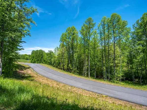 5-5A Waterstone Way, Mineral Bluff, GA 30559