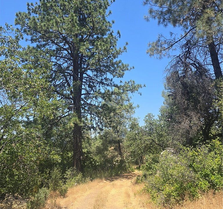 1st image of 0 Wild Iris Ln Lot 1