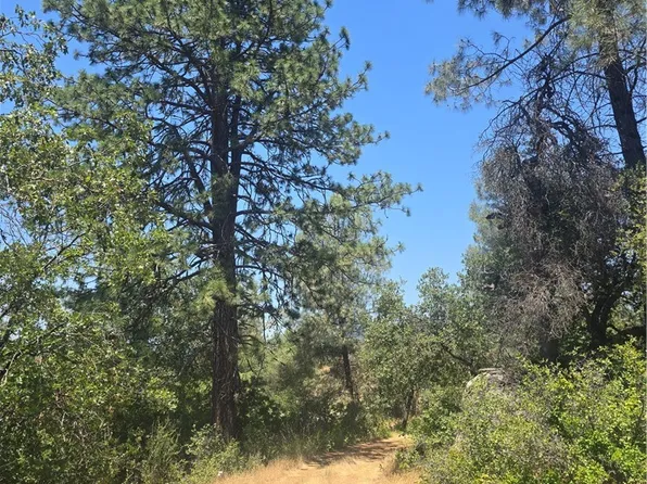 0 Wild Iris Ln Lot 1, North Fork, CA 93643