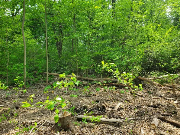 0 Summer Crest Dr Lot 7, Galena, OH 43021