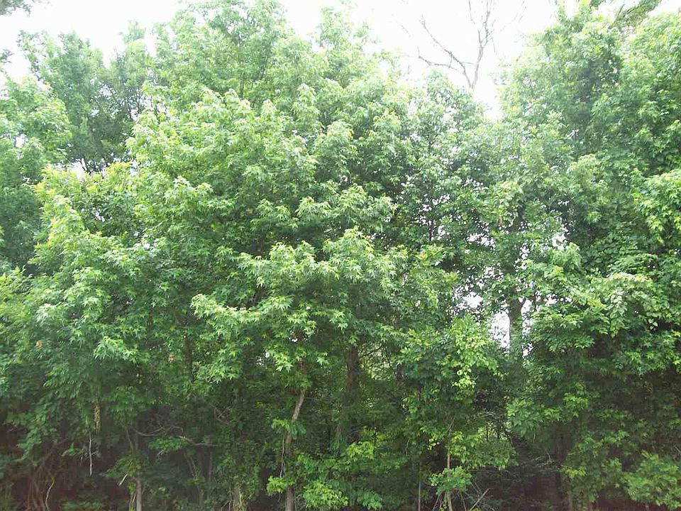 1st image of 0 Pine Cove Ct #24-B