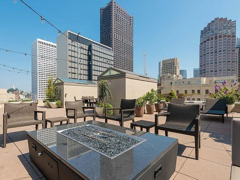 Rooftop garden includes lounge area and fire pit