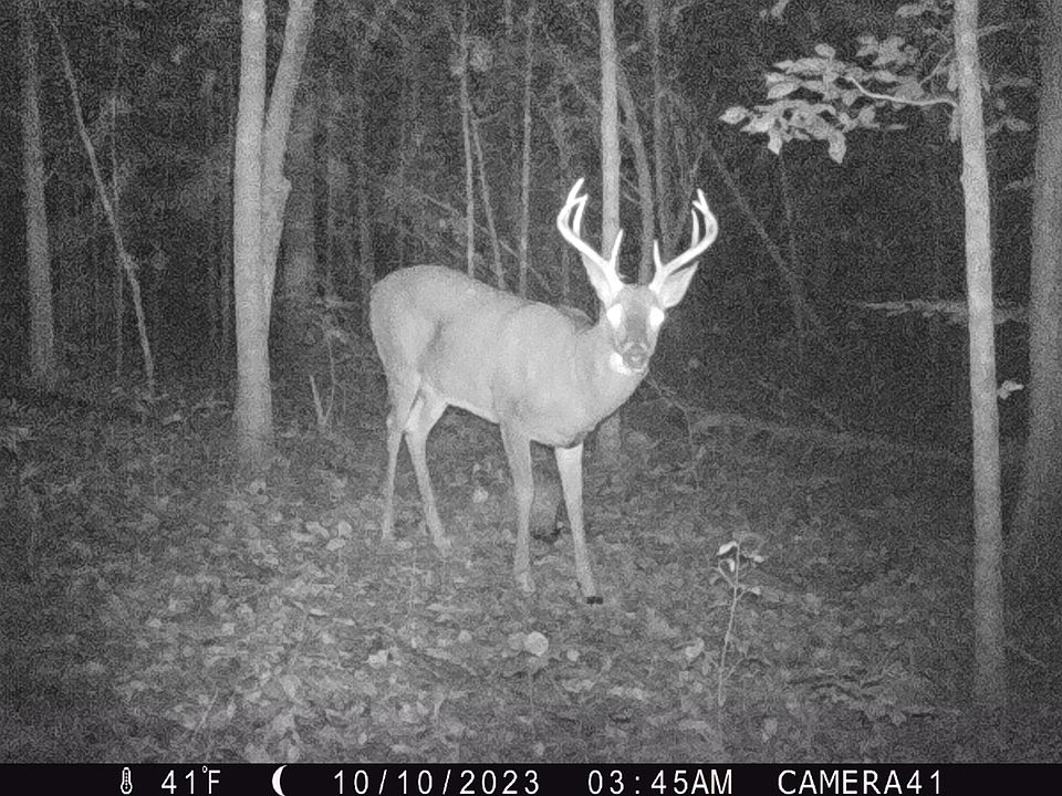 1st image of 6001 W Highway 635