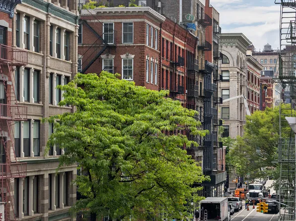 83 Thompson Street image 4 of 26