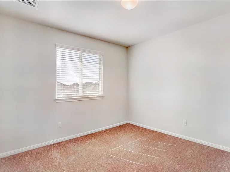 153 Horsemint Way — Photo 12