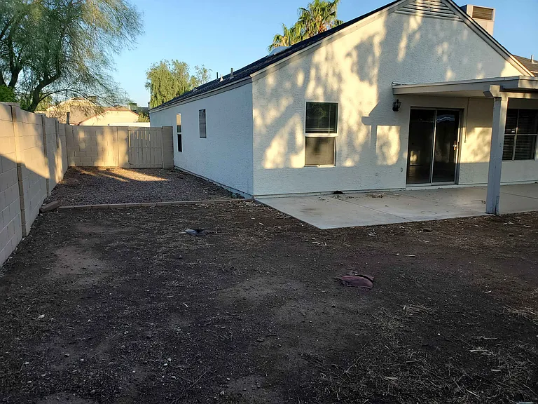 Back Yard and Gate