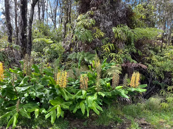 Mokuna St Lot 2133, Volcano, HI 96785