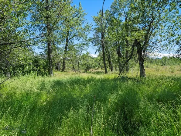 Elk Ln, Bozeman, MT 59718