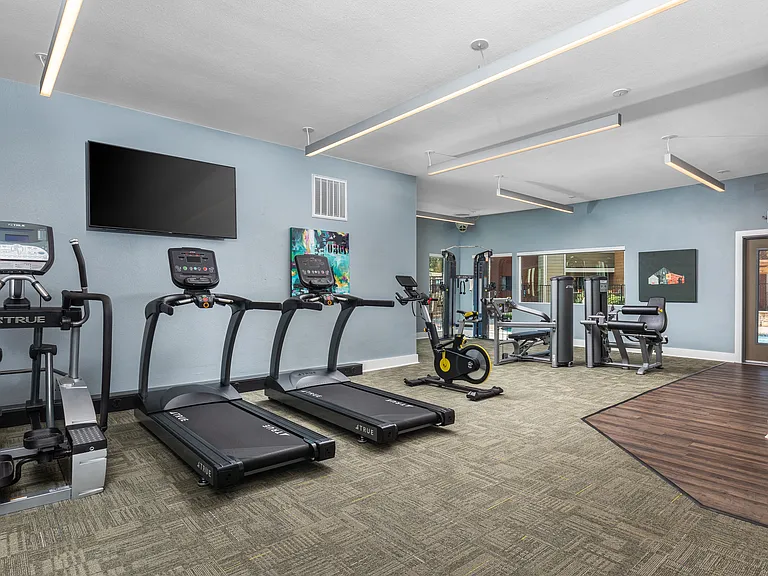 Terra Vista at the Park Apartments — Photo 17