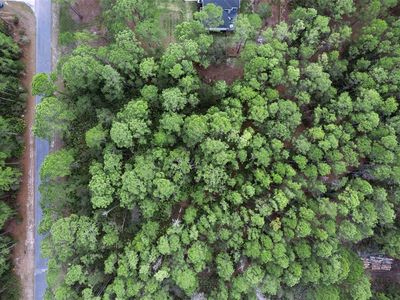 CASHEW STREET LOT 1, Eustis, FL, 32736