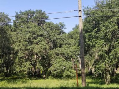 0 Cr309, Welaka, FL, 32193