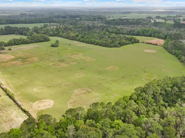 0 County Road 73, Summerdale, AL 36580