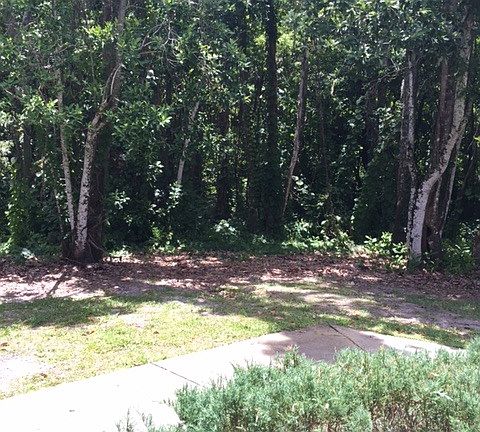 2nd image of 4874 S Semoran Blvd APT 1704