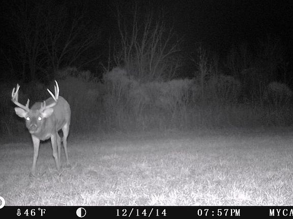 Trail Cam