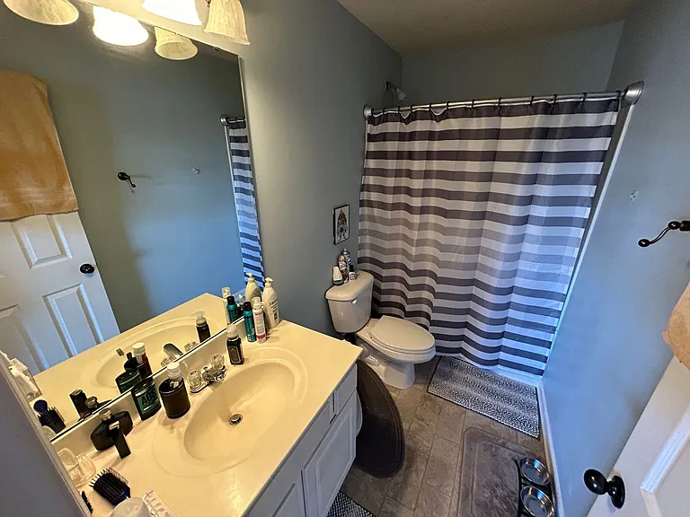 306 Linden Park Ln — Photo 16