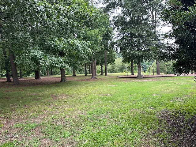 5404 Chatham Hall Dr — Photo 51