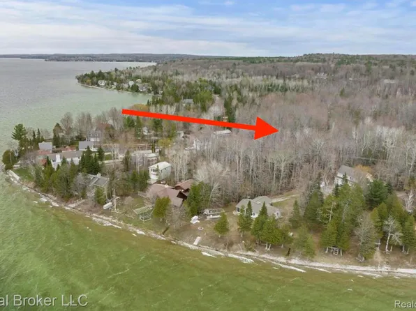 1717 Wahbee Ave, Indian River, MI 49749