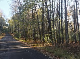 Old Tacy Rd., swan lake, NY 12783