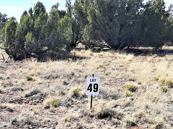 2705 Deer Run Pl #49, Show Low, AZ 85901