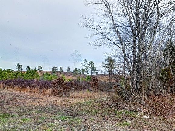 3rd image of 0 Sneed Rd Lot 14
