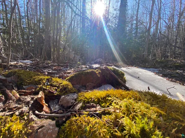Xxa Pine Peak Rd Lot 1, Lutsen, MN 55612