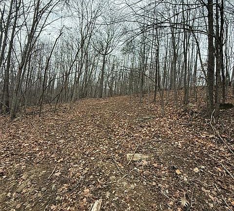 5th image of 0 Treadway Ridge Rd