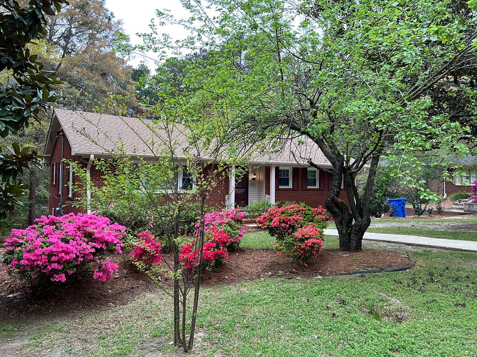 March and April 2025 part of the front yard with blooming azaleas