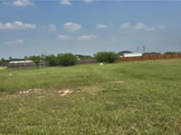 13324 Almirola St, Donna, TX 78537