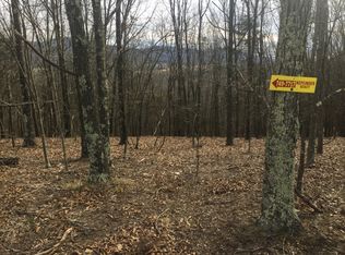 37 Lot Badlands Subdivision #37, Maysville, WV 26847