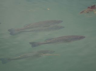 160 Langpap Rd, Honeoye Falls, NY 14472