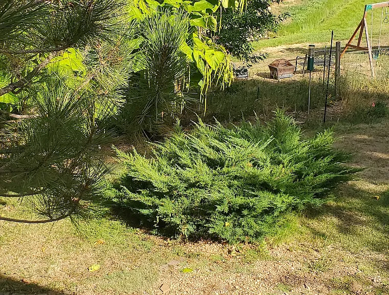 Ptarmigan Ln — Photo 13
