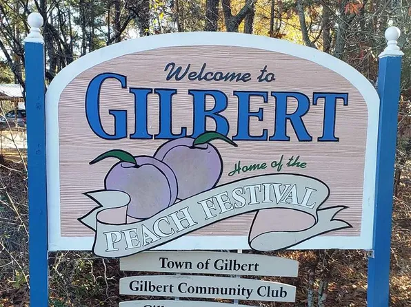 234 McKade Ln, Leesville, SC 29070