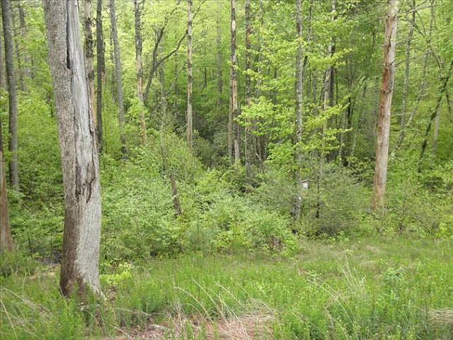 1st image of LOT-47A Hampton Spgs