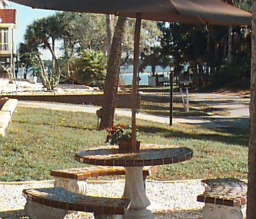 views of lemon bay