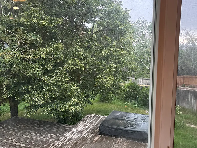 backyard view from bay window in dining room