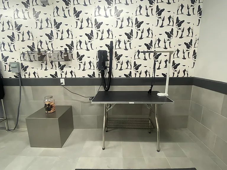 Indoor Pet Spa Featuring Modern Bathing and Grooming Amenities