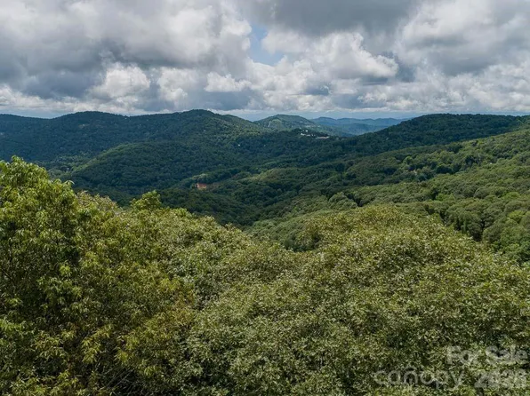 366 Birch Springs Ln #366, Mars Hill, NC 28754