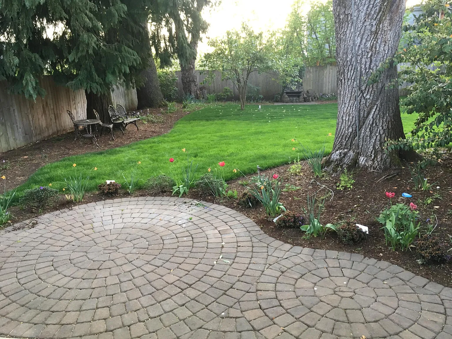 University St, Eugene — Photo 4