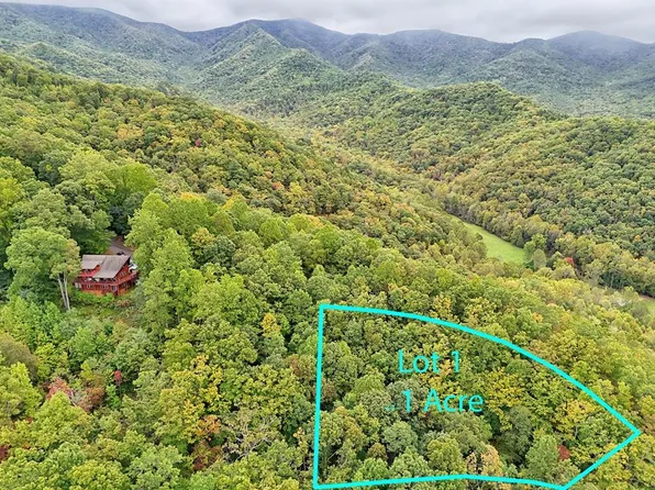 LOT 1 Skyview Dr, Hayesville, NC 28904