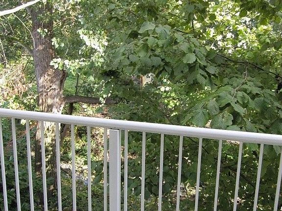 Deck facing east, view of Greenbelt
