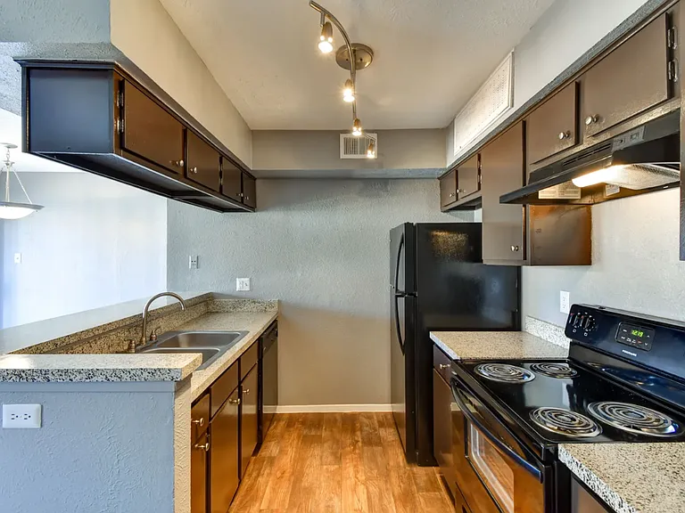 Modern kitchen with black appliances, rich cabinetry, and wood-style flooring for a sleek, functional design.